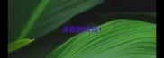 含嚣的成语