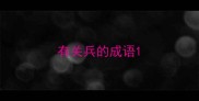 有关兵的成语