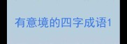 有意境的四字成语
