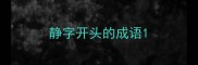 静字开头的成语
