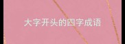 大字开头的四字成语