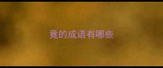 竟的成语有哪些