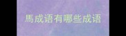 馬成语有哪些成语