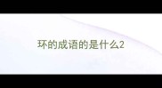 环的成语的是什么