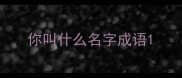 你叫什么名字成语