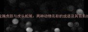 成语龙腾虎跃与虎头蛇尾两种动物名称的成语及其背后的智慧