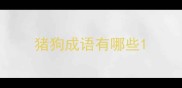 猪狗成语有哪些