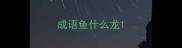 成语鱼什么龙