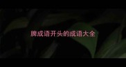 脾成语开头的成语大全