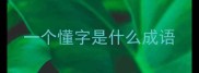 一个懂字是什么成语