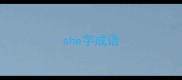 she字成语