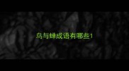 鸟与蝉成语有哪些