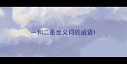 一和二是反义词的成语