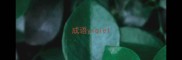 成语yiqie