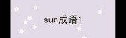 sun成语