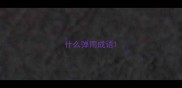 什么弹雨成语