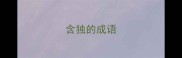 含独的成语