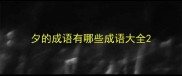 夕的成语有哪些成语大全