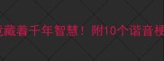 白天黑夜蝙蝠这个冷门成语竟藏着千年智慧附10个谐音梗用法学会秒变社交达人