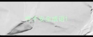 竹子安全成语