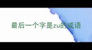 最后一个字是zu的成语