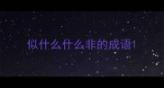 似什么什么非的成语