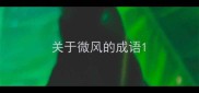 关于微风的成语