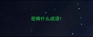 密蜂什么成语