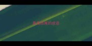 是是结尾的成语