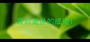 最后是世的成语