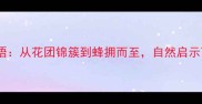 蜜蜂与花的经典成语从花团锦簇到蜂拥而至自然启示下的传统文化智慧