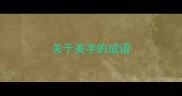 关于美字的成语