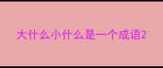 大什么小什么是一个成语