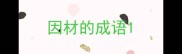 因材的成语