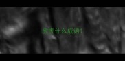 虎虎什么成语
