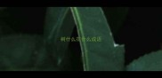 树什么花什么成语