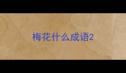 梅花什么成语