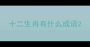 十二生肖有什么成语