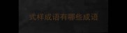式样成语有哪些成语