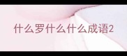 什么罗什么什么成语