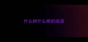 什么树什么根的成语