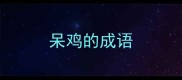 呆鸡的成语