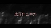 成语什么中外