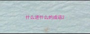 什么进什么的成语
