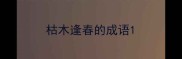 枯木逢春的成语