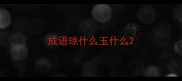 成语琼什么玉什么