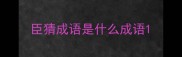 臣猜成语是什么成语