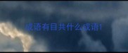 成语有目共什么成语