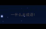 一什么大成语