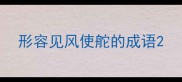 形容见风使舵的成语